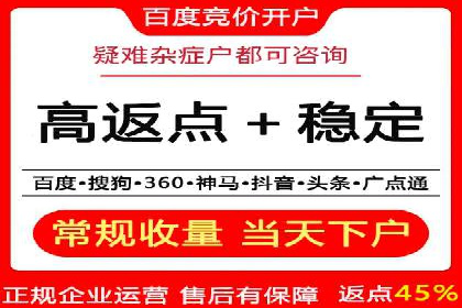 SEO与SEM优化案例：打造行业领先品牌